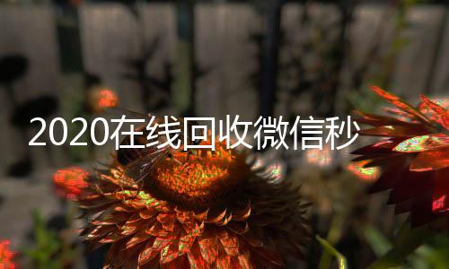 2020在线回收在线24小时回收vx微信秒结（高价回收微信秒结）